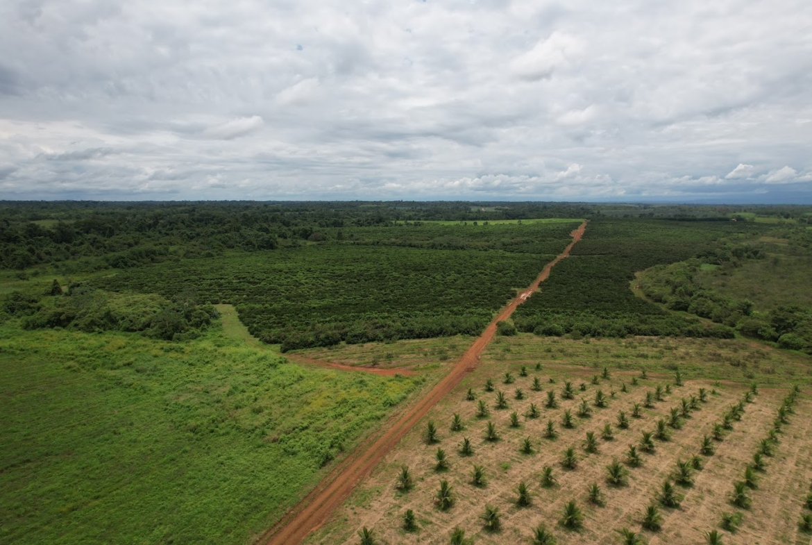 Fincas en San Carlos